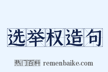 选举权造句是什么意思的图片